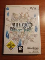 Final Fantasy Echoes of Time Wii - Top Zustand!