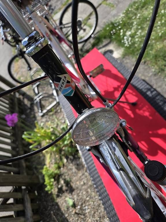 Biciclette: Damenvelo Mondia Elegance – Usato da Biel/Bienne venduto da Rouf7 2