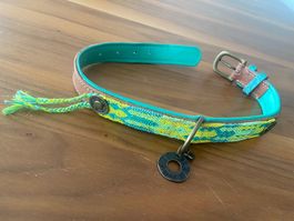 Verschiedene Hunde Zubehören