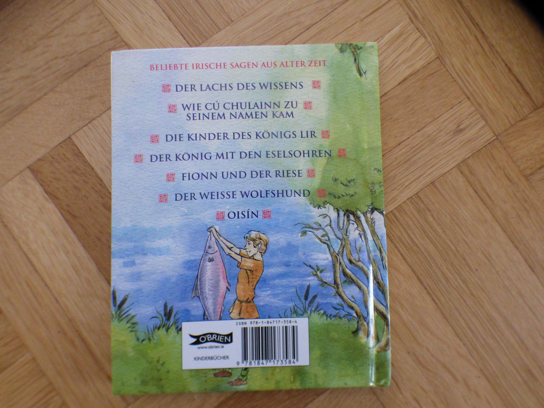 Bücher: Irische Sagen – Gebraucht aus Münchenbuchsee von enzian59 1