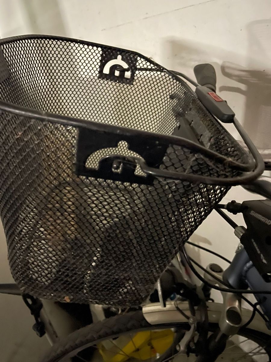 Merida Biciclette: Merida Damenvelo – Usato da Aarau venduto da Moonie.00 5