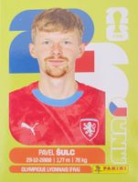 Panini FIFA World Cup CZE 14