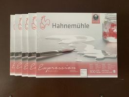 HAHNEMÜHLE Expression Aquarellpapier NEU 5 STUCK 40x50