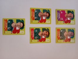 Panini 2026 Mexico