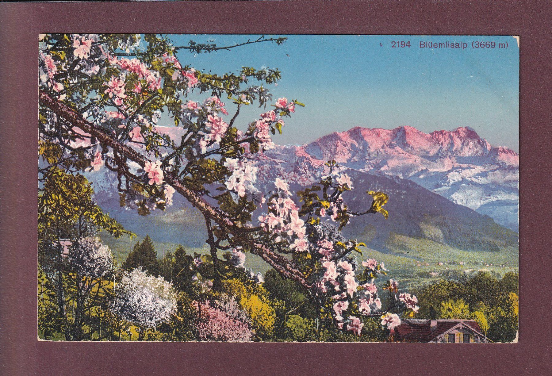 Ansichtskarten: BLÜMLISALP - Frühling – Gebraucht aus Pully von nicecards