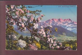 BLÜMLISALP - Frühling