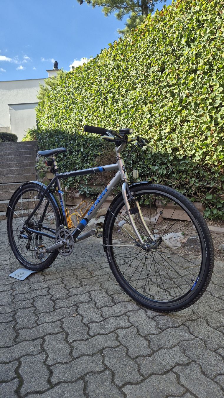 Velos: Velo ab Service – Gebraucht aus Oberhasli von Velo_Susak