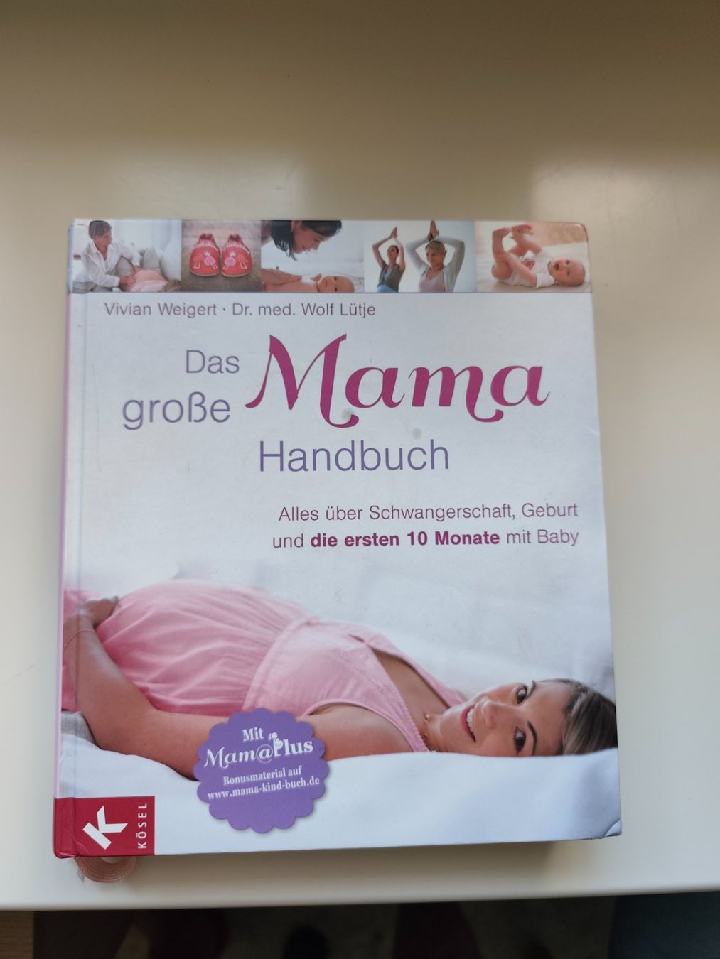 Bücher: Das grosse Mama Handbuch – Gebraucht aus Endingen von Ferguson83