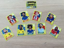 Stickers panini 