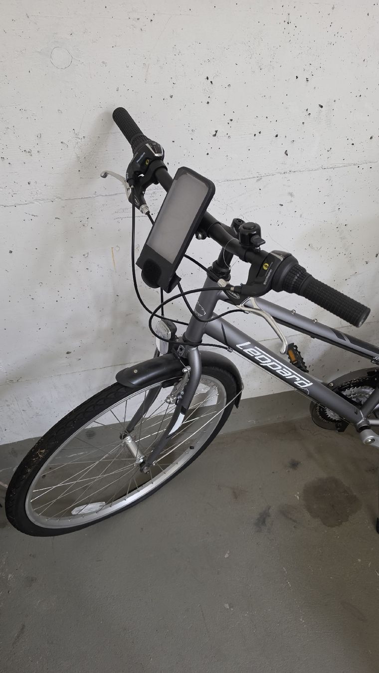 Leopard Velos: Cityrad Leopard Street Cat – Gebraucht aus Witterswil von Sasco 3