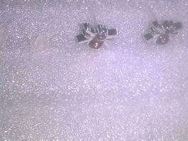 ohrringe modeschmuck,, mit lela kristall