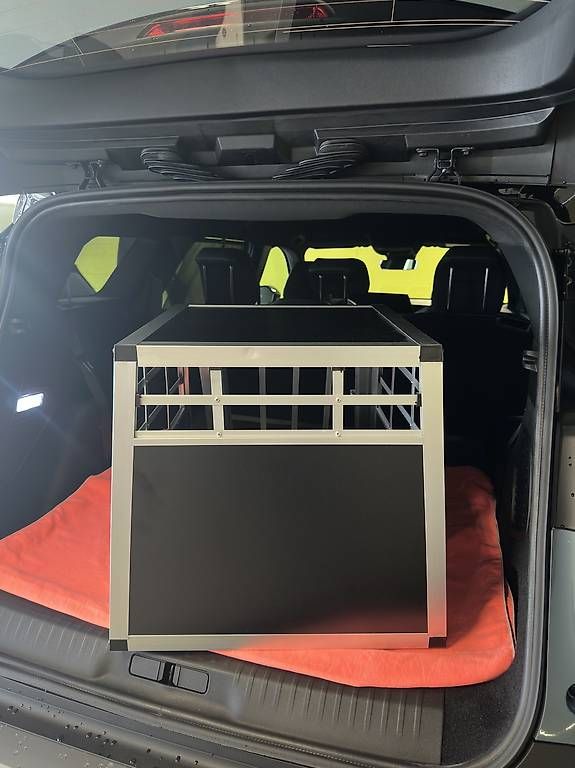 Gabbie, trasporto & Sicurezza: Hunde Transportbox – Usato da Rorschach venduto da dan_gzt8