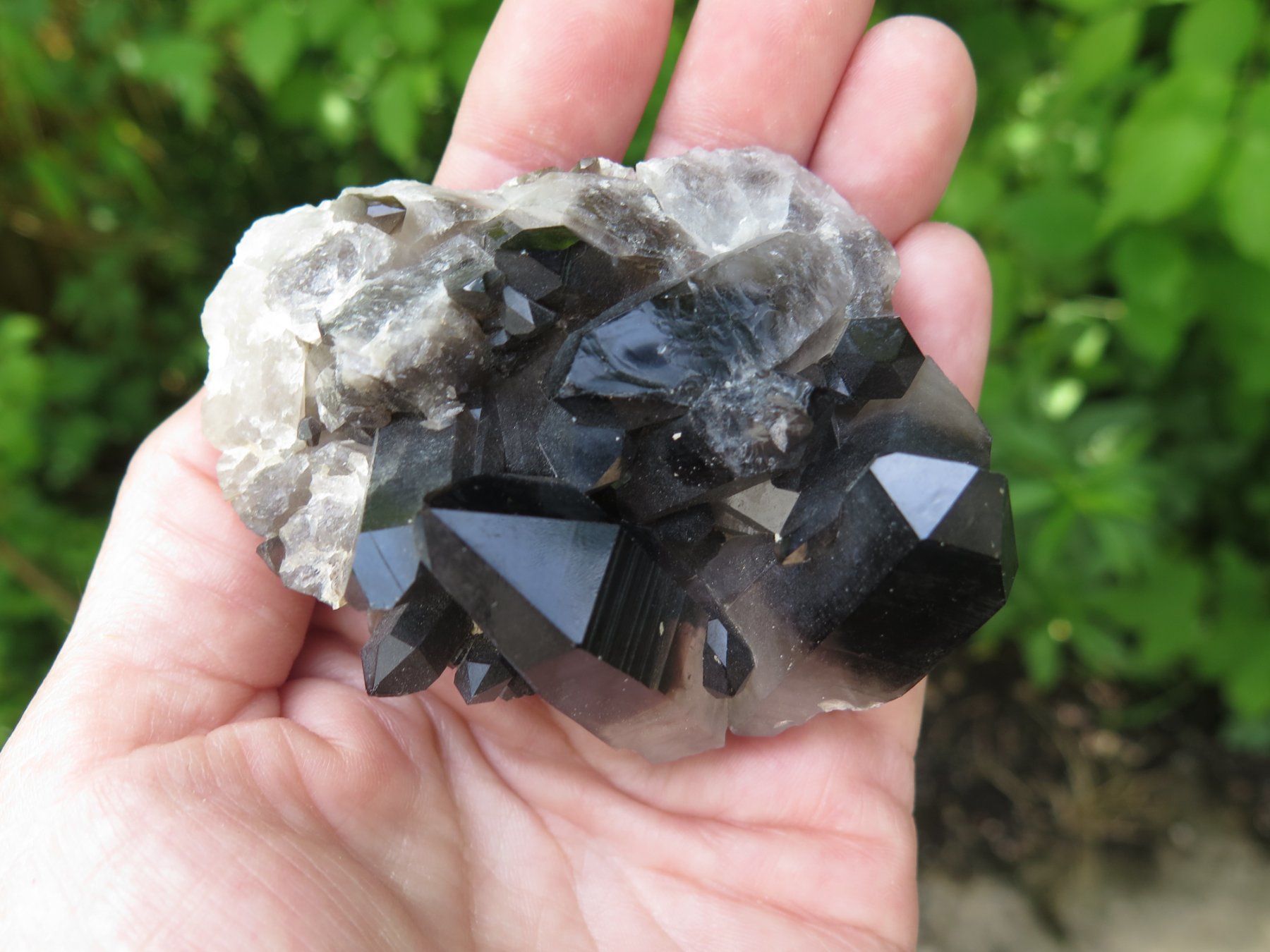 Mineralien & Heilsteine: Rauchquarz "Morion" von USA – Gebraucht aus Schaffhausen von Yamakana51L8736OQ8 1