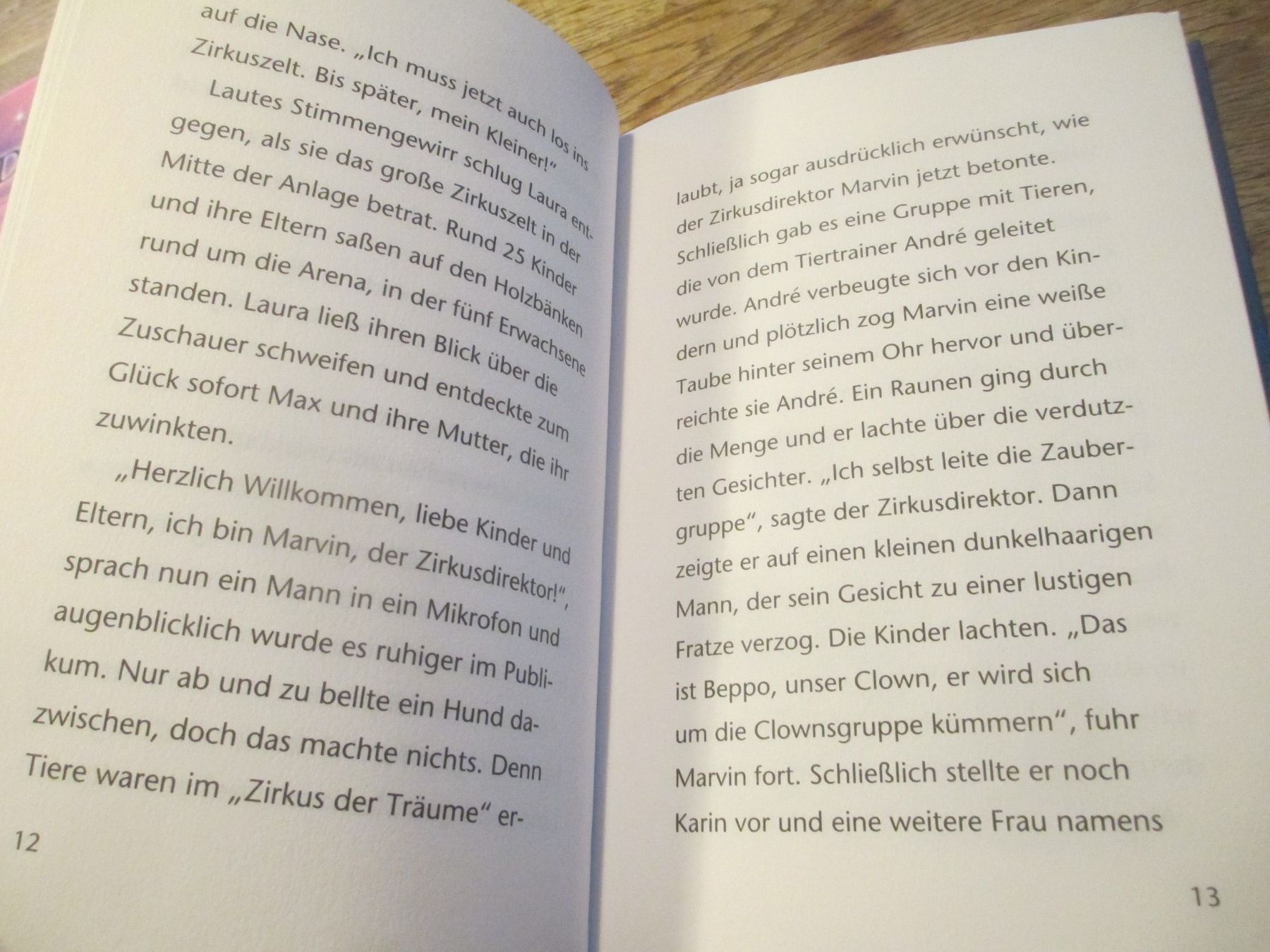 Libri: Buch Sternenschweif Zirkus der Träume – Usato da Hasle LU venduto da Flamme6 1