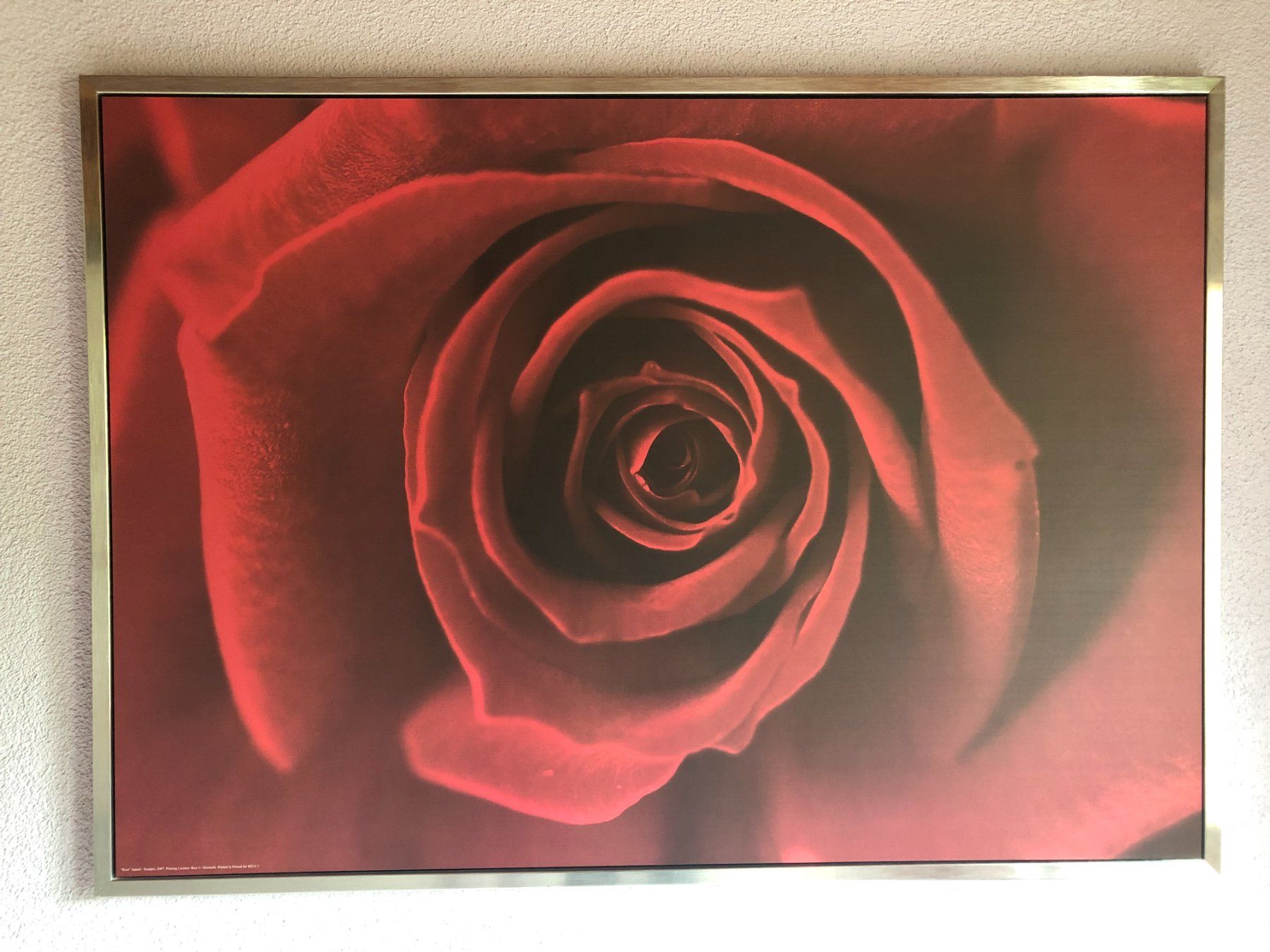 Poster & Bilder: Grosses Bild von Ikea – Gebraucht aus Hinwil von mounten 1