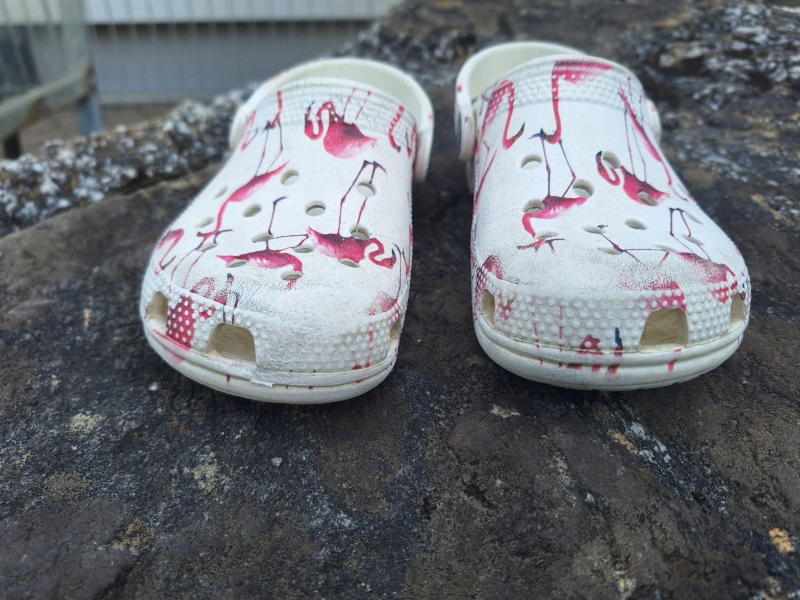 Crocs Scarpe per ragazze: Crocs 29-30 mit Flamingo – Usato da Frutigen venduto da Autoflitzer 1