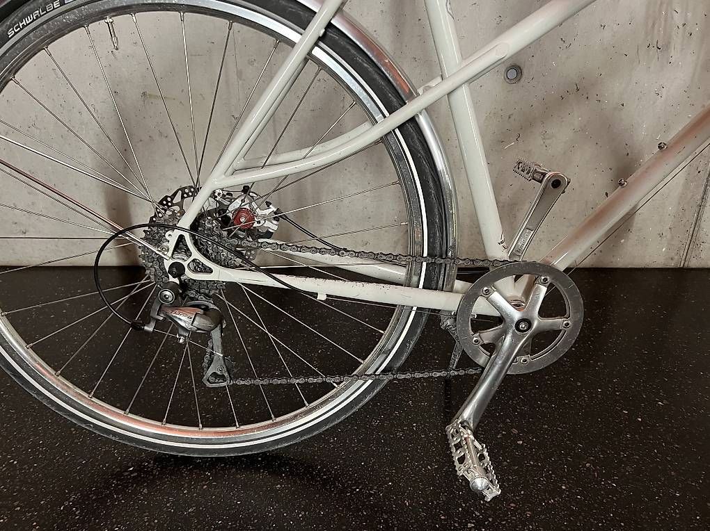 Biciclette: Pelago Airisto  – Usato da Adliswil venduto da Ursula8102 4