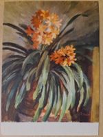 Ansichtskarte Blumen "Clivia (Öl)" E. Huber