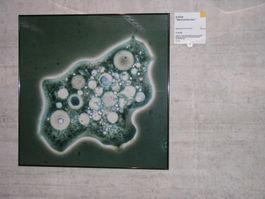 Bild mit hochwertigem ALU- Bilderrahmen