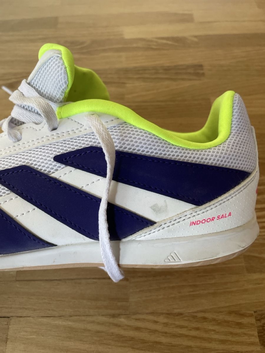 Adidas Scarpe da uomo: Adidas Predator Hallenschuh /  Grösse 38 2/3 – Usato da Wiesendangen venduto da armandinho 1