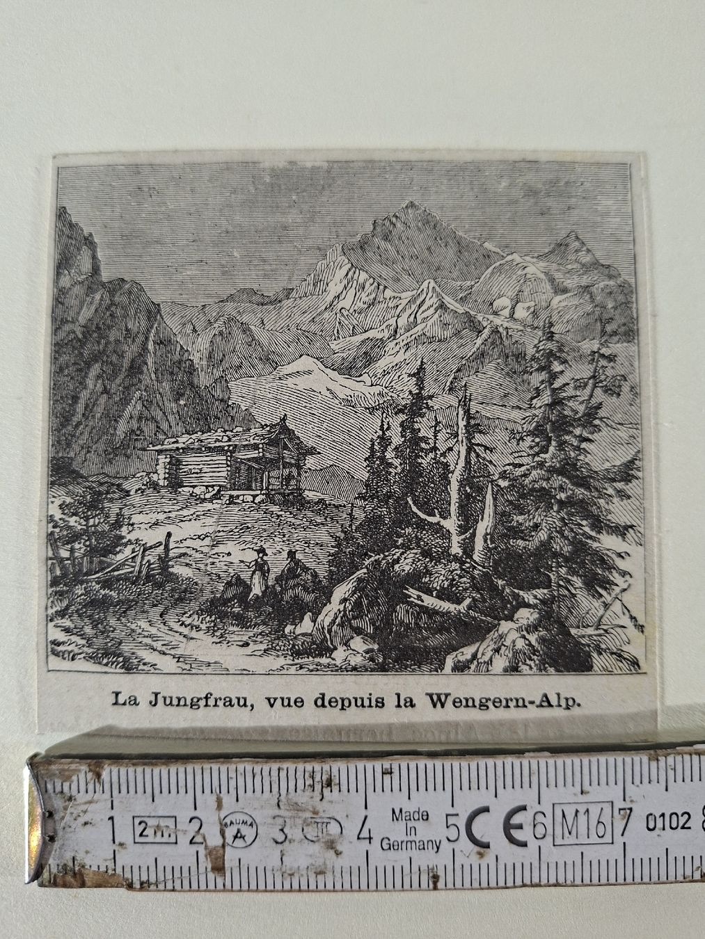 Incisioni: Lot  71 , 10 Stiche  – Usato da Grindelwald venduto da carro5 8