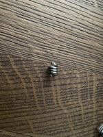 Pandora Charm Schlange