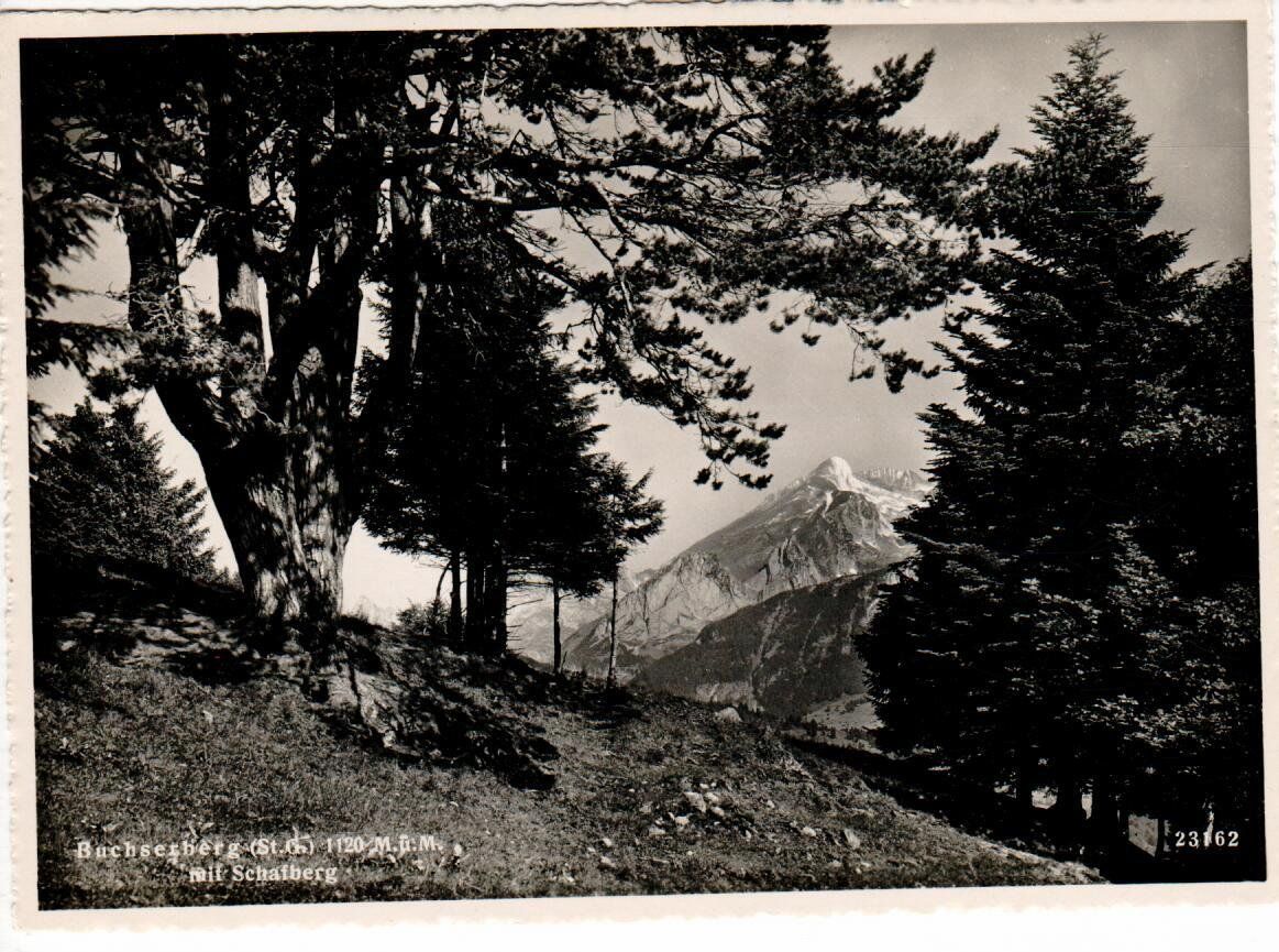 Cartes postales: Buchserberg SG – D'occasion à Wolhusen par Curver9