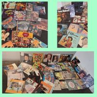 Schallplatten Sammlung - Diverse Interpreten - Vinyl LP's🎯