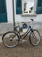 Pelago Brooklyn Citybike