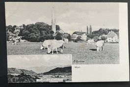 Muri bei Bern, Blick auf Stockhornkette, Vieh, Kirche~1915