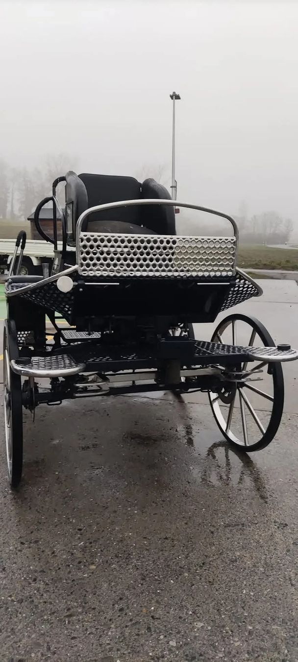 Carrozze: tolle Marathon Kutsche – Usato da Kerzers venduto da sb_12 2