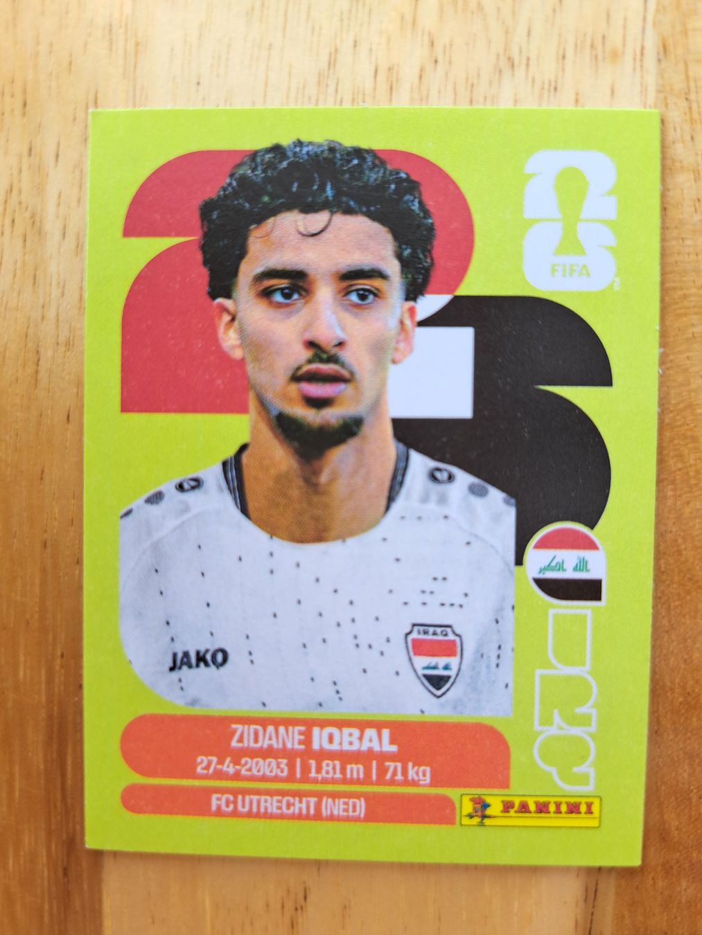 Panini Carte collezionabili: Panini FIFA World Cup IRQ 9 – Nuovo (secondo la descrizione) da Waldenburg venduto da Sysilu