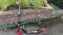 Smartscoo Big Scooter klappbar, Grossräder, bis 100 kg