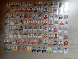 Panini WM 2018 104 Stk.