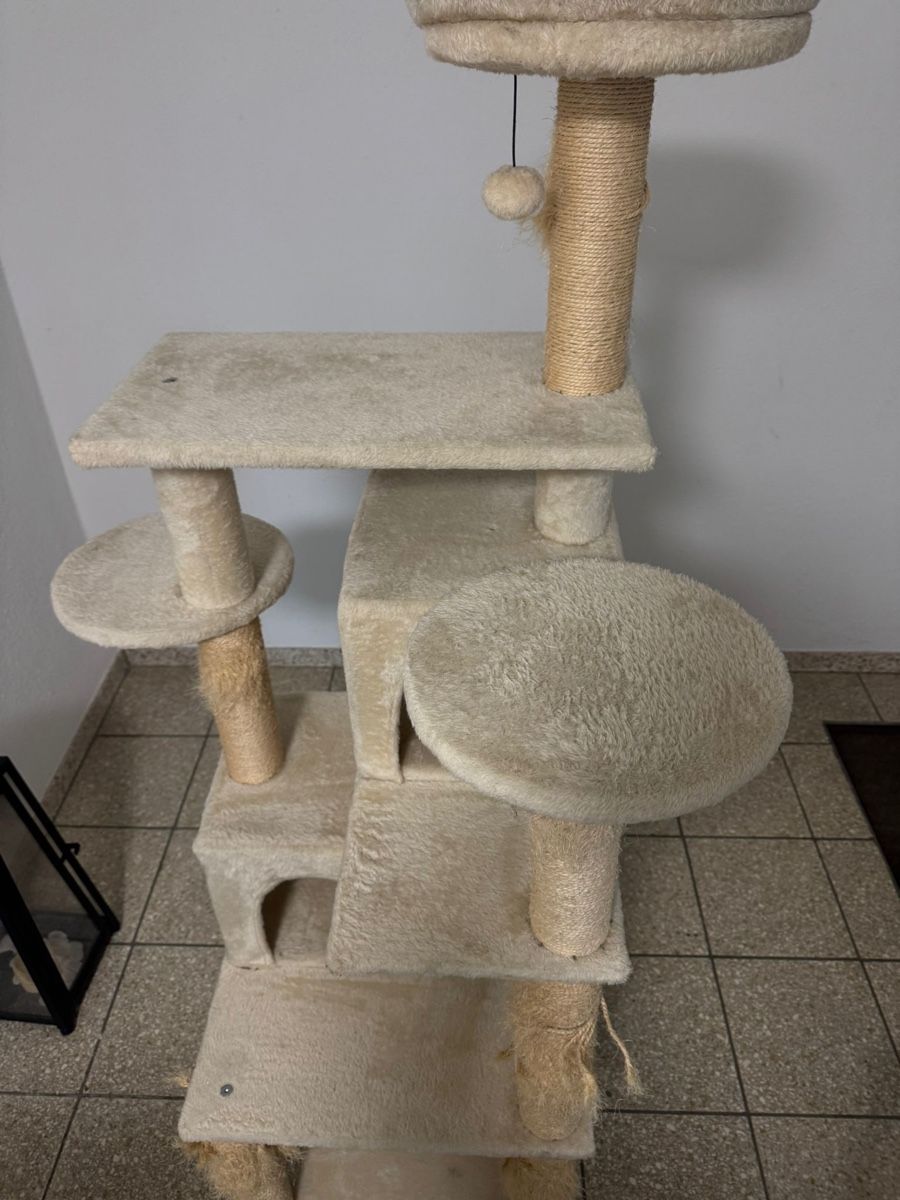 Tiragraffi: Katzenbaum  – Usato da St. Gallen venduto da sla_kxb6 2