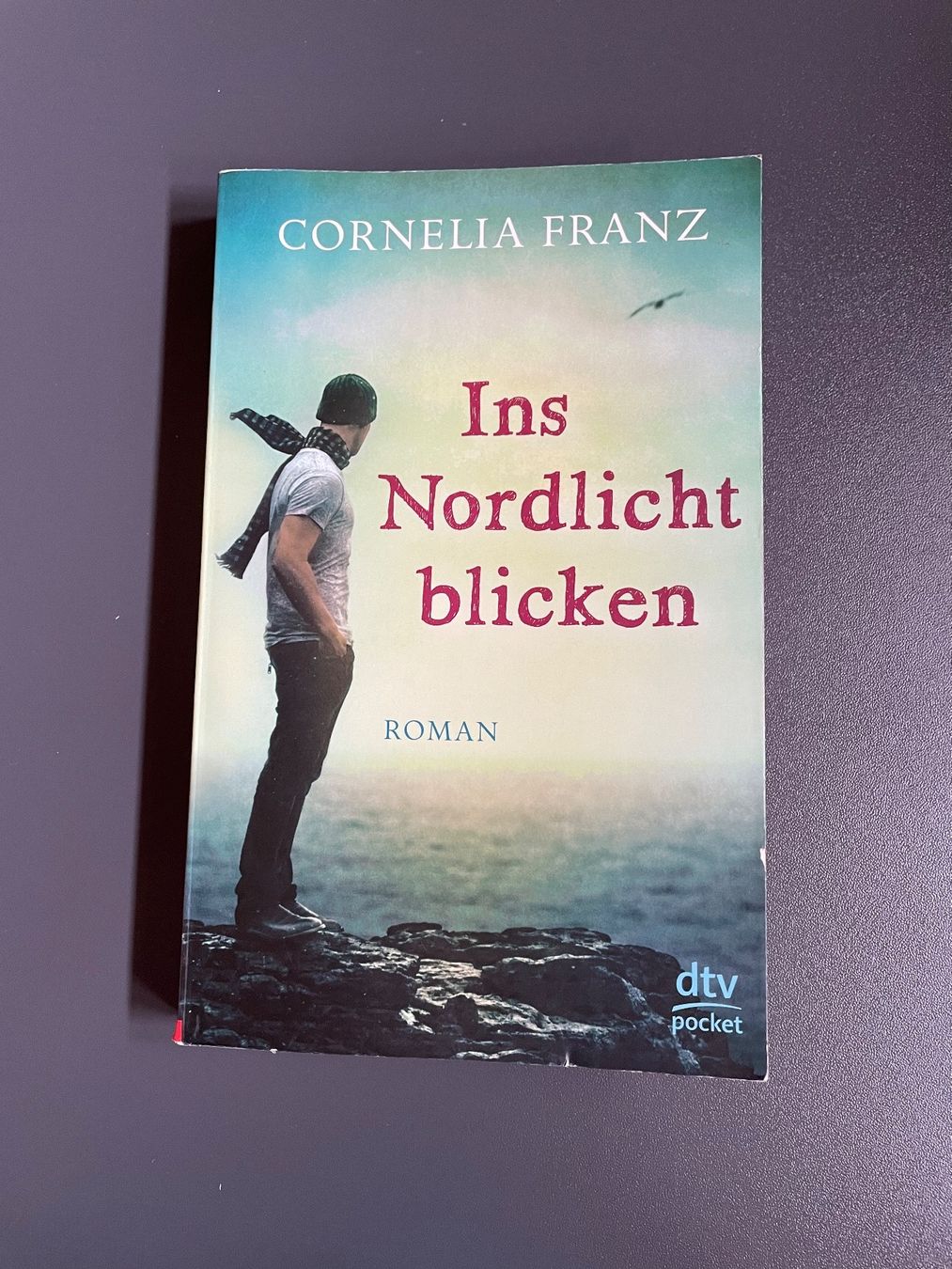 Bücher: Livre Ins Nordlicht blicken – Gebraucht aus Chamoson von daleva0204