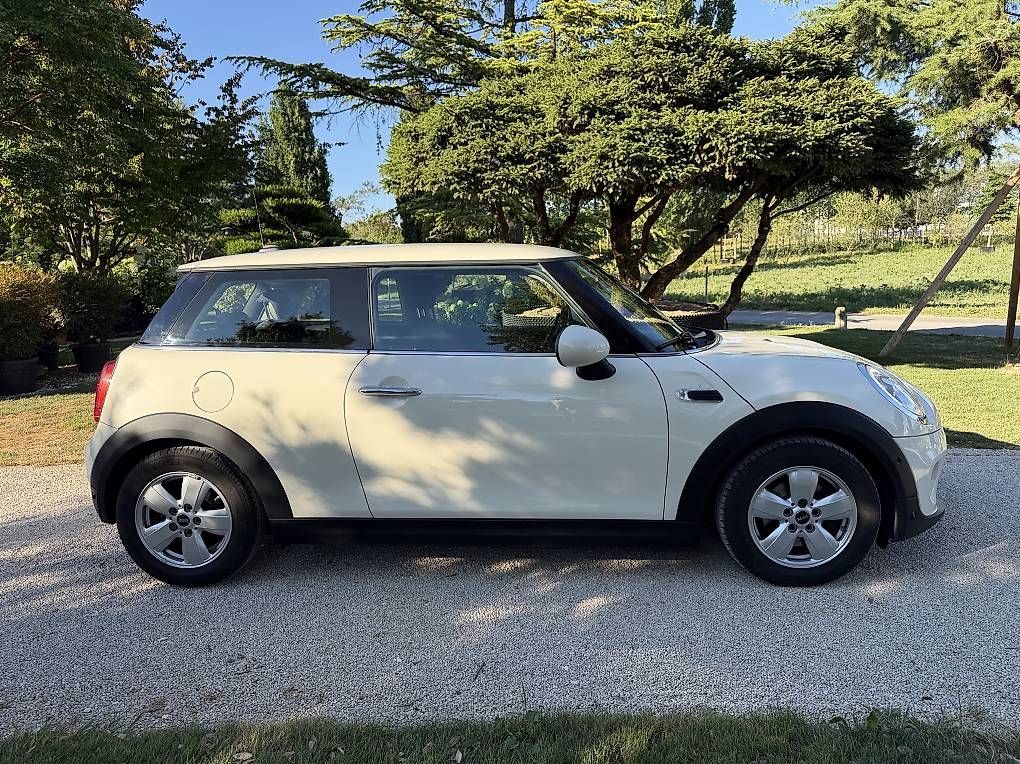 Automobili: Mini Cooper  – Usato da Crissier venduto da AnastacioR 3
