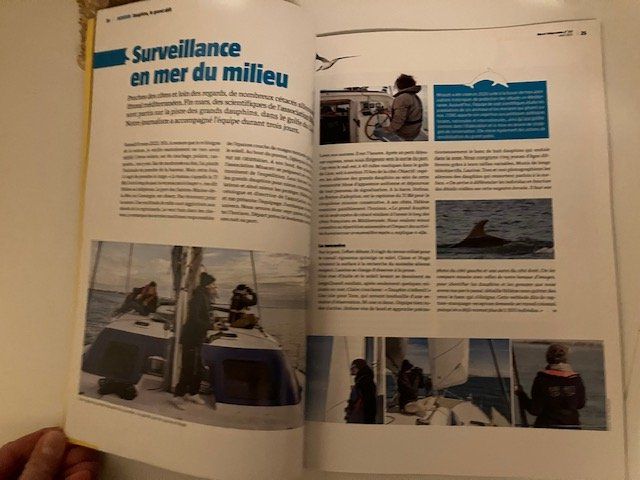 Riviste & Magazine: Revue La Salamandre - les dauphins – Usato da Les Ponts-de-Martel venduto da Jolisa 2