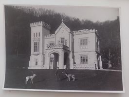 Altes Foto Schloss Merkenstein 12x18