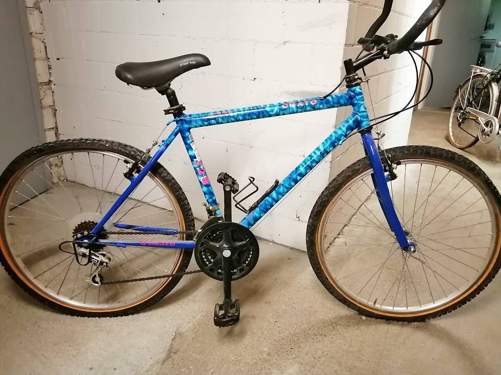 Biciclette: Mountainbike – Usato da Bern venduto da mit_w2v8 1