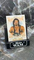 Diesel-Topps WWE Heritage 2021–Allen & Ginter