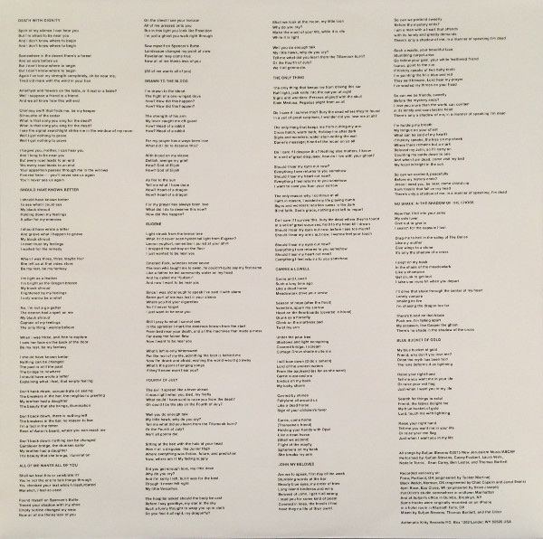 Vinyles: Sufjan Stevens - Carrie & Lowell vinyle standard – Neuf (Voir description) à Orbe par vivigcv 3