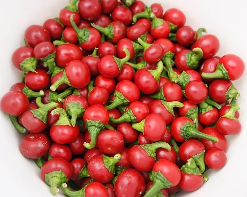 Piante & sementi: 100 Cherry Chili Kirchchili Samen – Nuovo (secondo la descrizione) da Ehrendingen venduto da VerveinaSamen 7