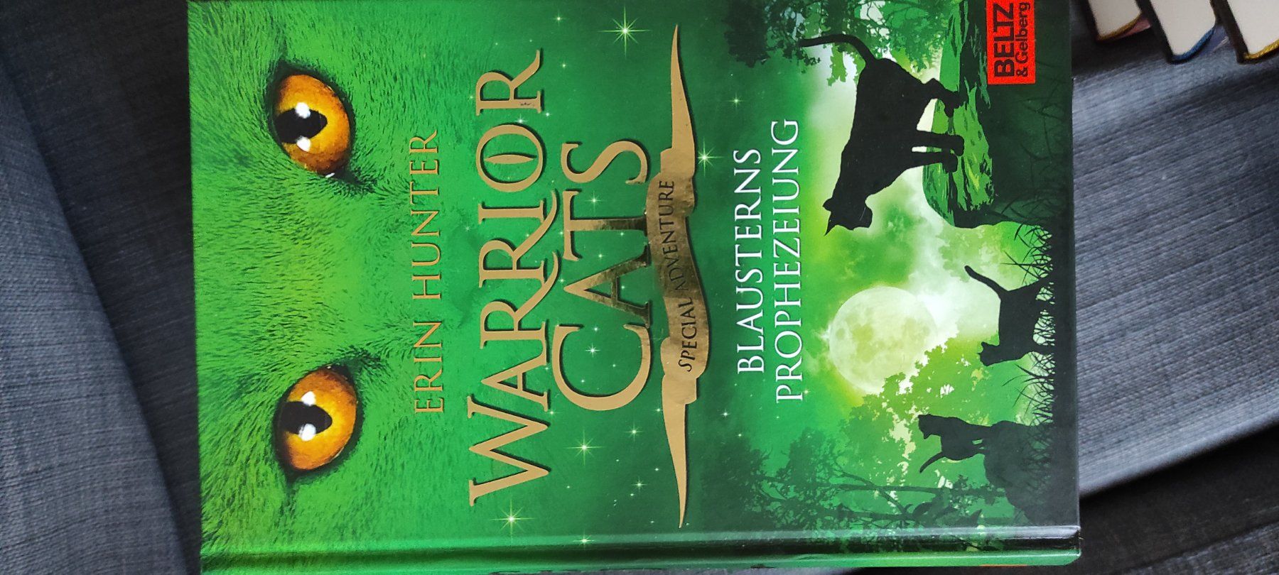 Libri: Warrior Cats Special Adventures, 4 Bücher – Usato da Bassersdorf venduto da lar_9p6m 3