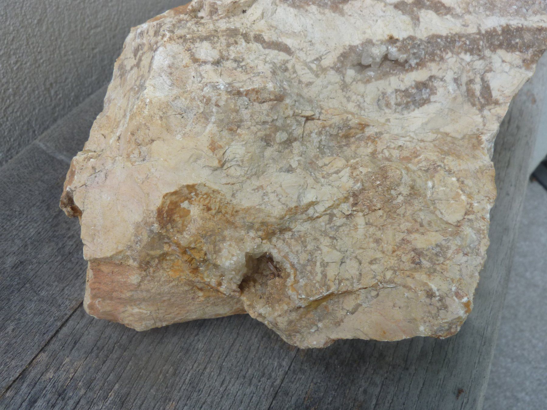 Fossili: Grosse, versteinerte Koralle, Rohstein – Nuovo (secondo la descrizione) da Triengen venduto da Nussbaum14 1