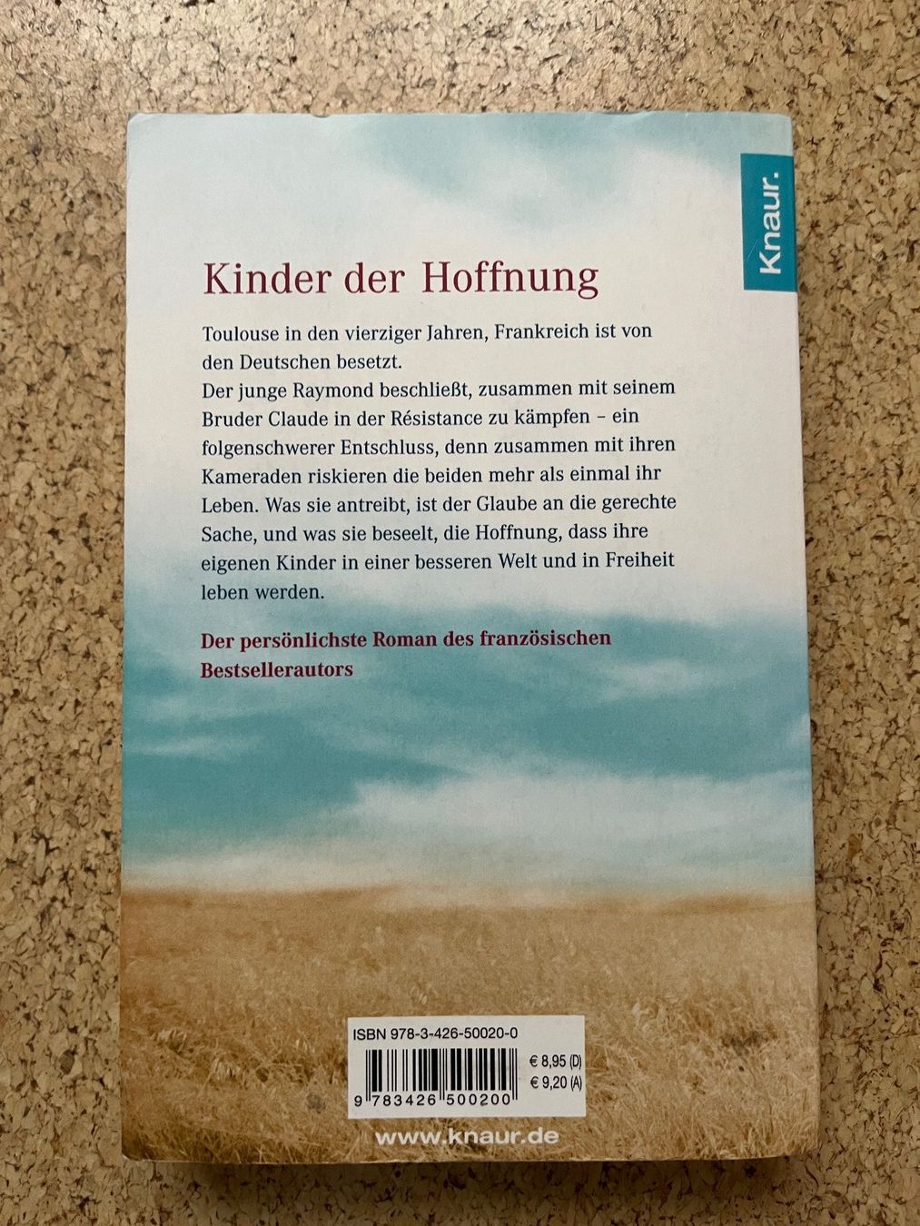 Libri: Taschenbuch "Kinder der Hoffnung", Marc Levy – Usato da Grosswangen venduto da Vita500 1