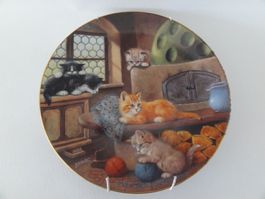 Sammelteller, Katzen