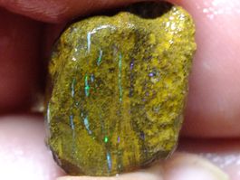 BOULDER ROH OPAL 28.2 Kt Gebot 1.- Elektisch Blau Grün feuer