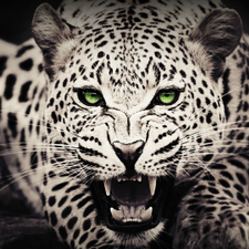 Profile image of brru91