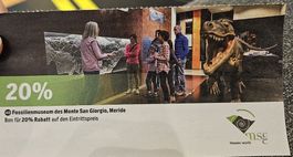 20% Rabatt- Fossilienmuseum Monte San Giorgio Ticket